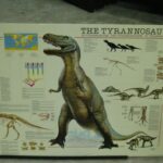 Tyrannosaur